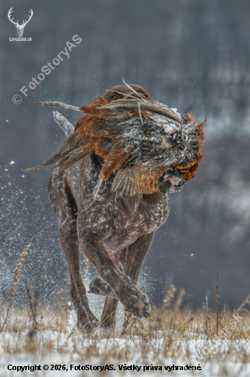 Vášne sa nevzdáš ani v zime. ❄️????