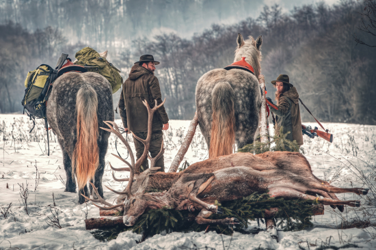 Zákon hôr a tiché ozveny tradície.