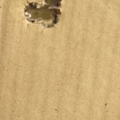 Norna tipstrike 8x57is