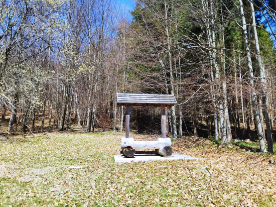 Kŕmenie