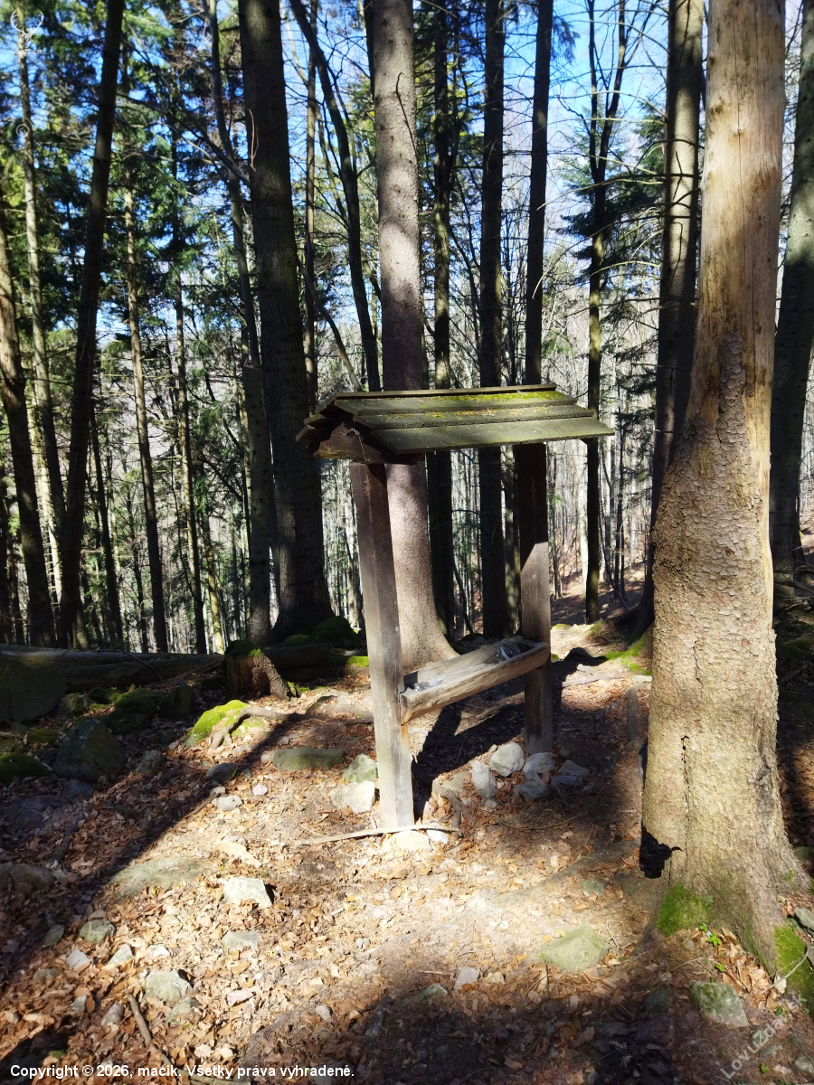 Solisko