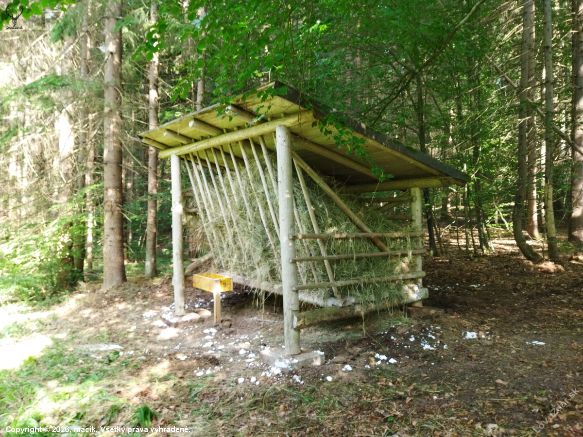 Senik
