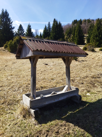 Solisko