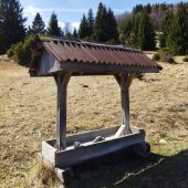 Solisko