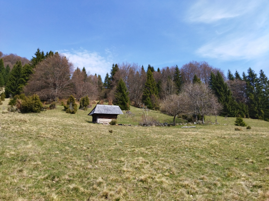 Štálik
