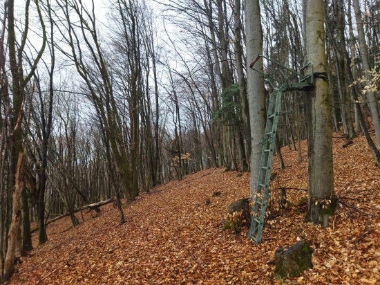 Sedačka