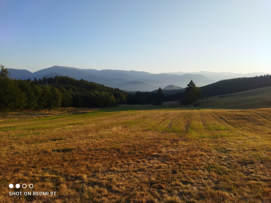 Ranná