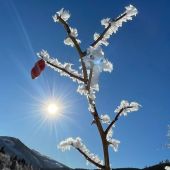 Mrázik ešte čaruje...