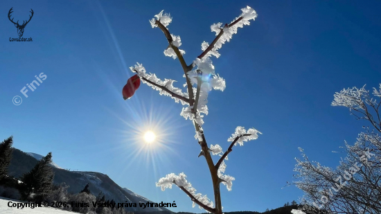 Mrázik ešte čaruje...