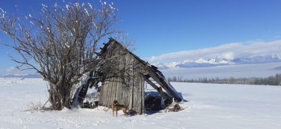 Spomienka na 20-té storočie.