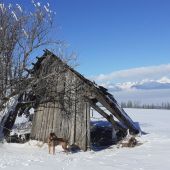 Spomienka na 20-té storočie.