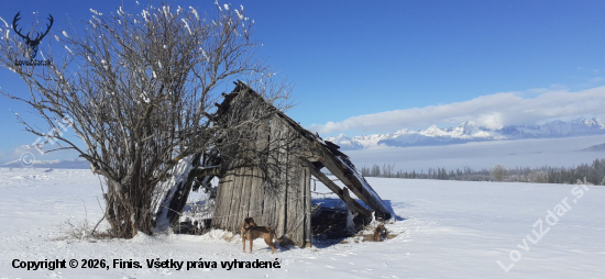 Spomienka na 20-té storočie.