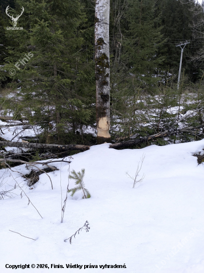 Teraz dal asi 4-hrýzy