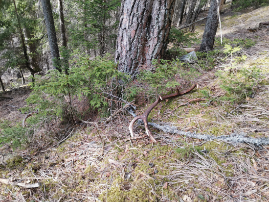 Vydarená aj nedeľa.