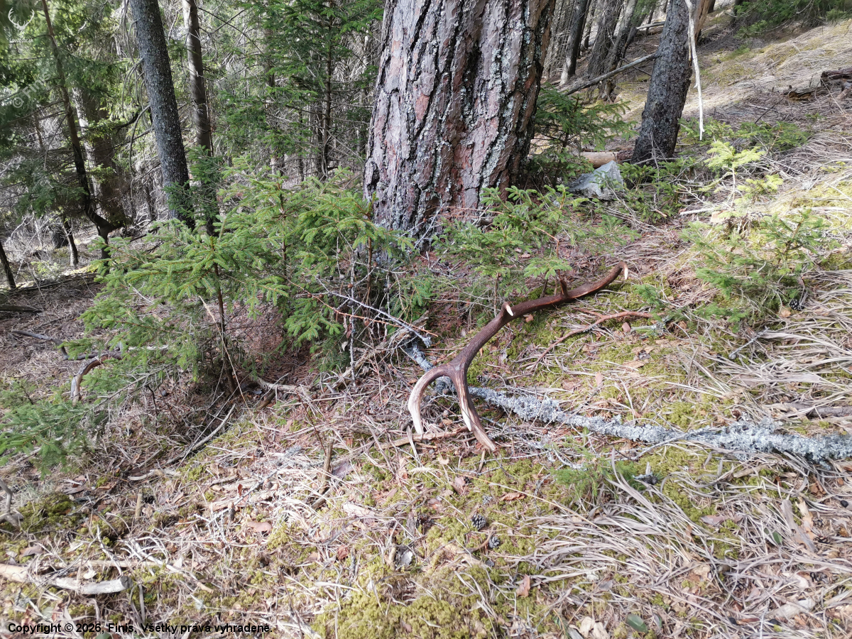 Vydarená aj nedeľa.