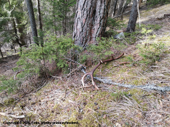 Vydarená aj nedeľa.