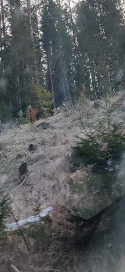 Posledný zapozoval.