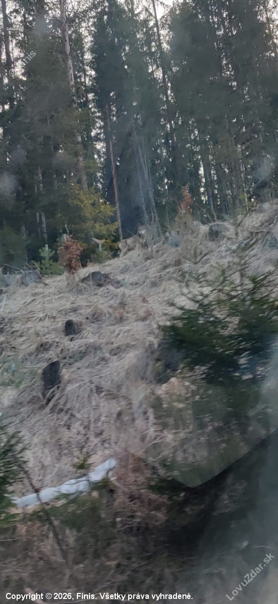 Posledný zapozoval.