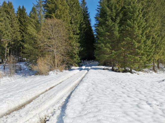 Nehrozí žiaden,, zhodík