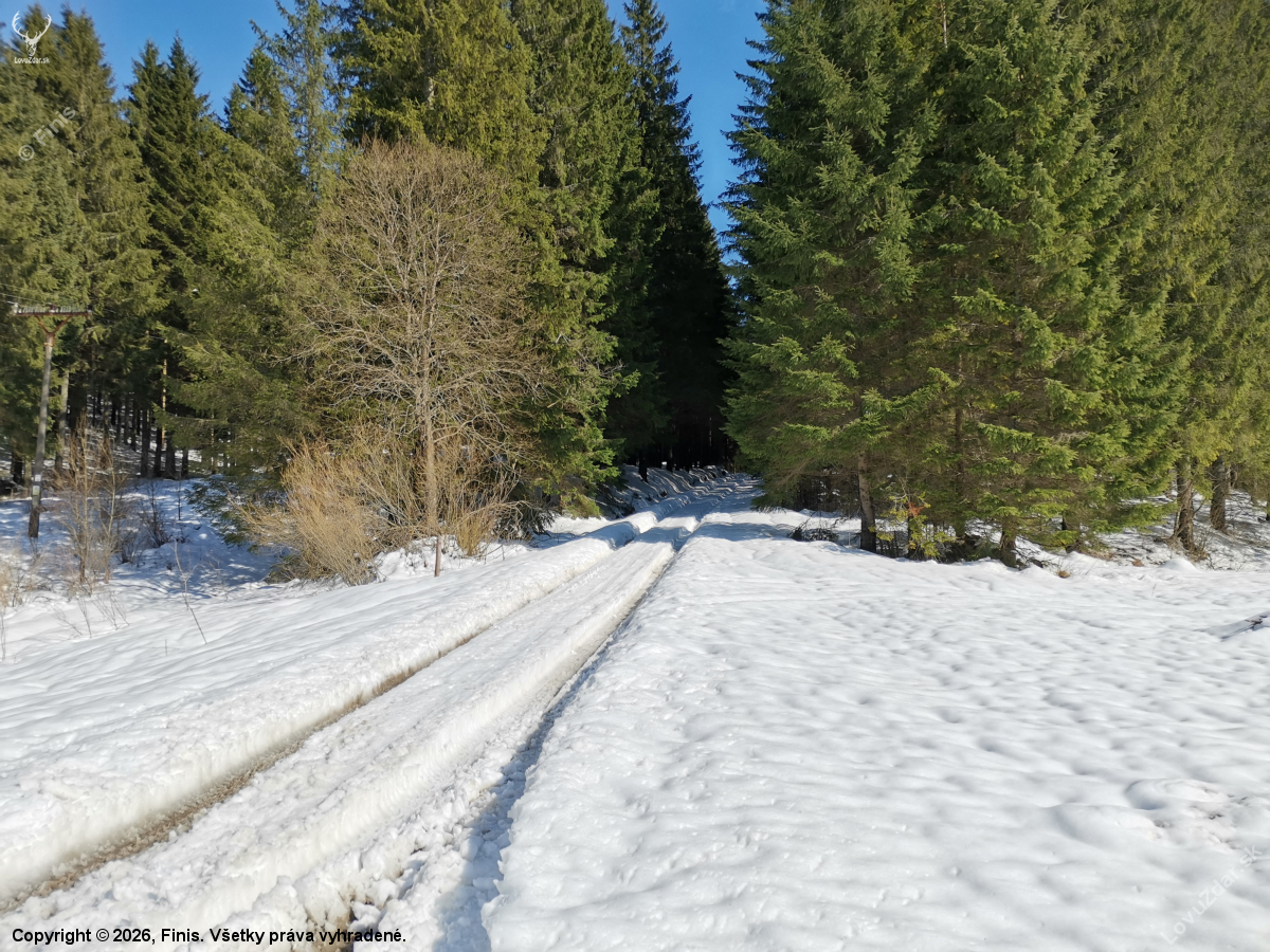 Nehrozí žiaden,, zhodík