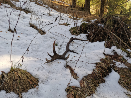 Biela sobota nesklamala...