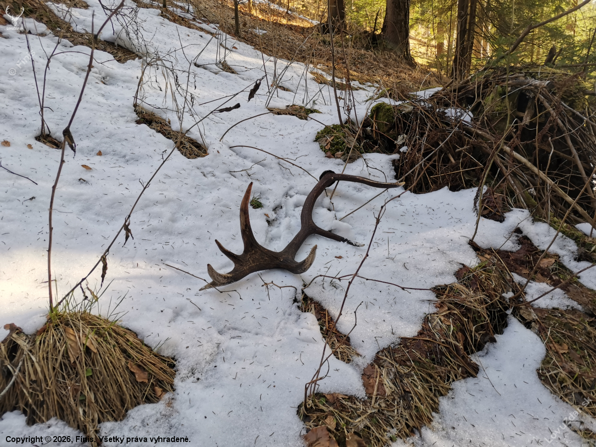 Biela sobota nesklamala...