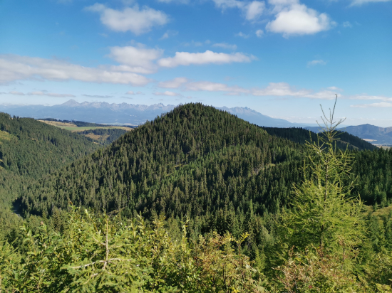 Chochua-vyžšia ako Tatry...