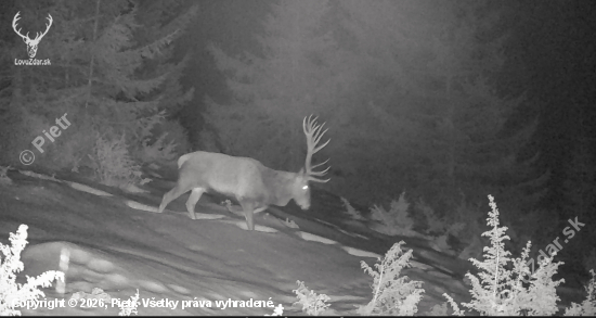 Vychodeným chodničkom