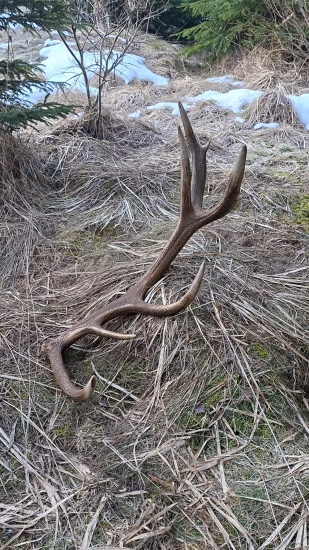 Srdiečko podskočilo