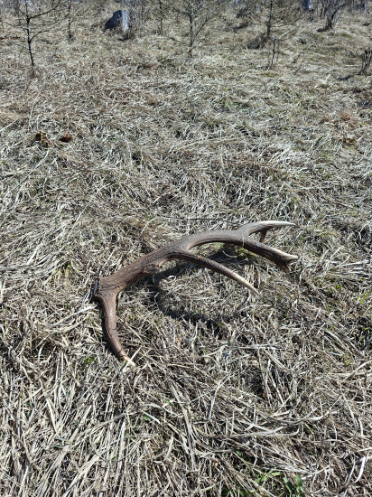 Keď to najmenej čakáš