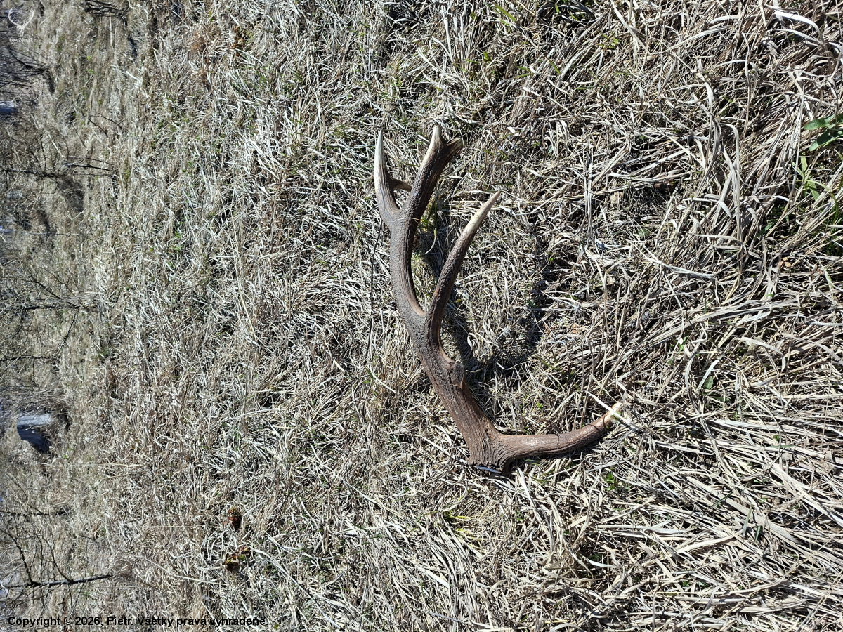 Keď to najmenej čakáš