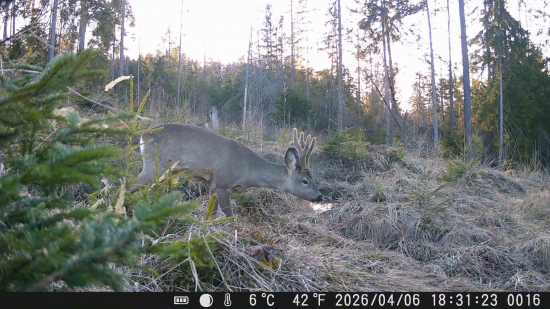 Čochvíľa vytlčie