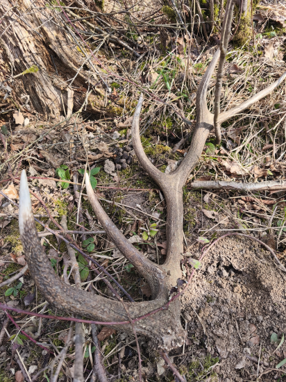 Keď sa ponáhľaš a skoro zakopneš