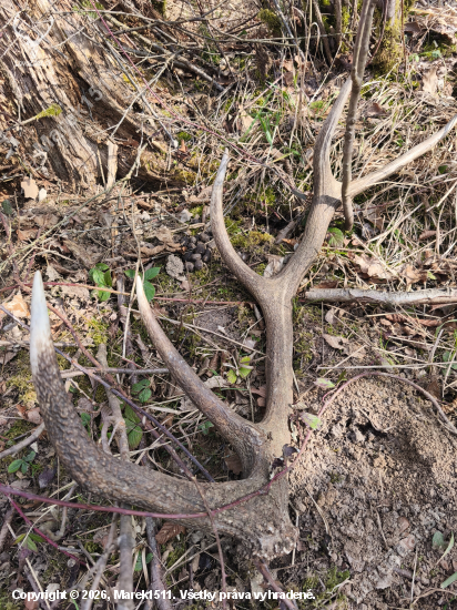 Keď sa ponáhľaš a skoro zakopneš