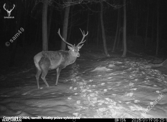 Na jeleňom chodníku