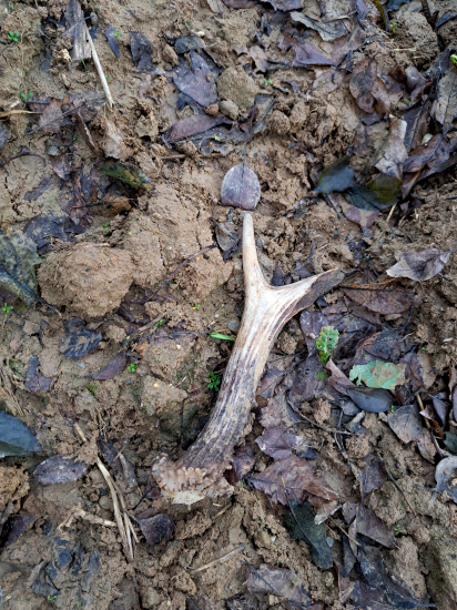 Pohľad, ktorý poteší