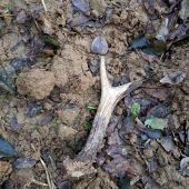 Pohľad, ktorý poteší