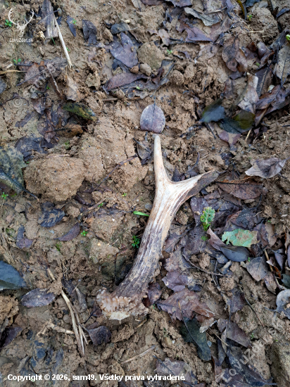 Pohľad, ktorý poteší