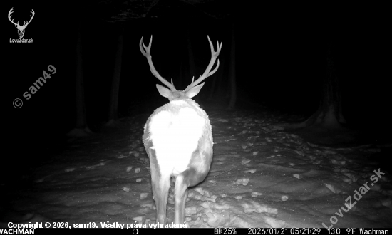 Niekedy je to zadkom na kameru