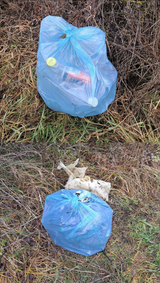 Nie je to len o zbieraní zhodov, dreva, hub..