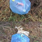 Nie je to len o zbieraní zhodov, dreva, hub..