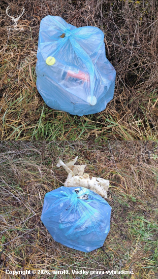 Nie je to len o zbieraní zhodov, dreva, hub..