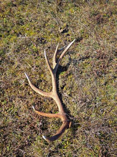 14torak svietil na dialku