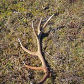 14torak svietil na dialku