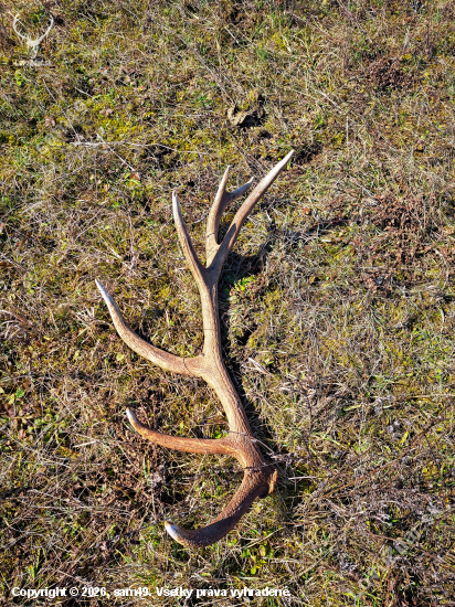 14torak svietil na dialku
