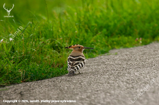 Dudok - spomienka na teplé dni