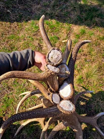 Definicia slova šťastie a radosť