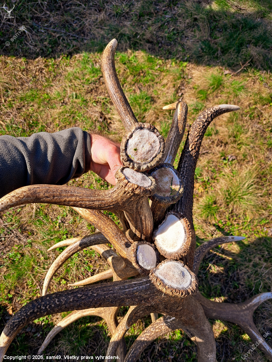 Definicia slova šťastie a radosť