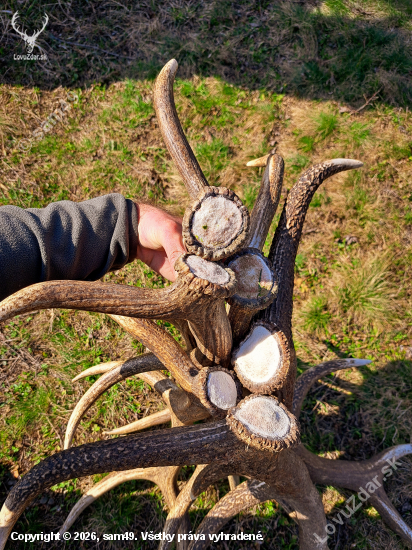 Definicia slova šťastie a radosť