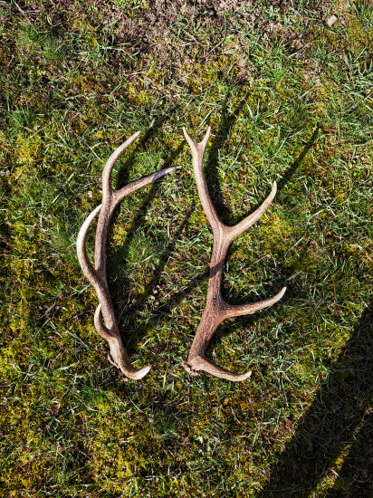 Dva desatoráky dnes ráno